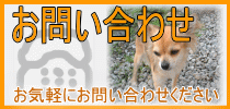 お問い合わせはこちら。お気軽にどうぞ。 お問い合わせ