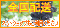 ネットショップにて全国配送承ります。 ネットショップ